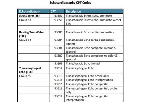 2 d echocardiogram cpt code.